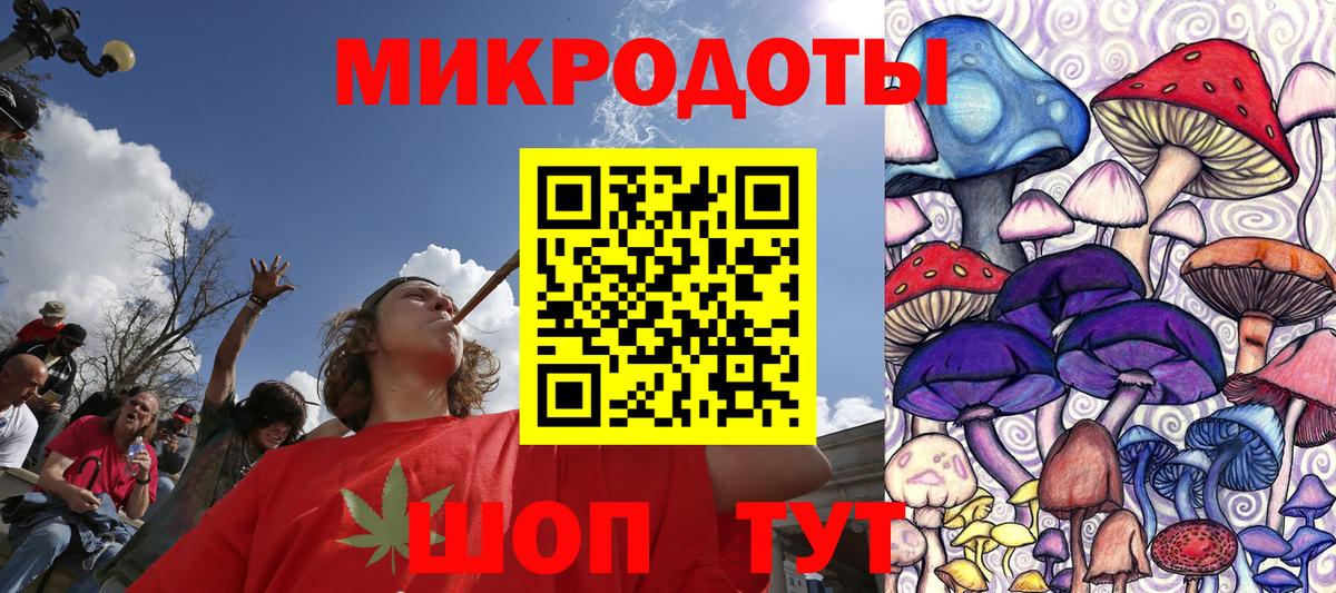что такое наркотик  Вход с VPN  Великий Новгород  Псилоцибиновые грибы мицелий 