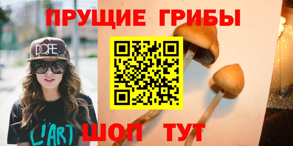 Галлюциногенные грибы ЛСД Великий Новгород